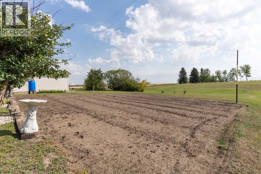 307 Manning Avenue, Heisler, Alberta T0B 2A0 - Photo 27 - A2253670