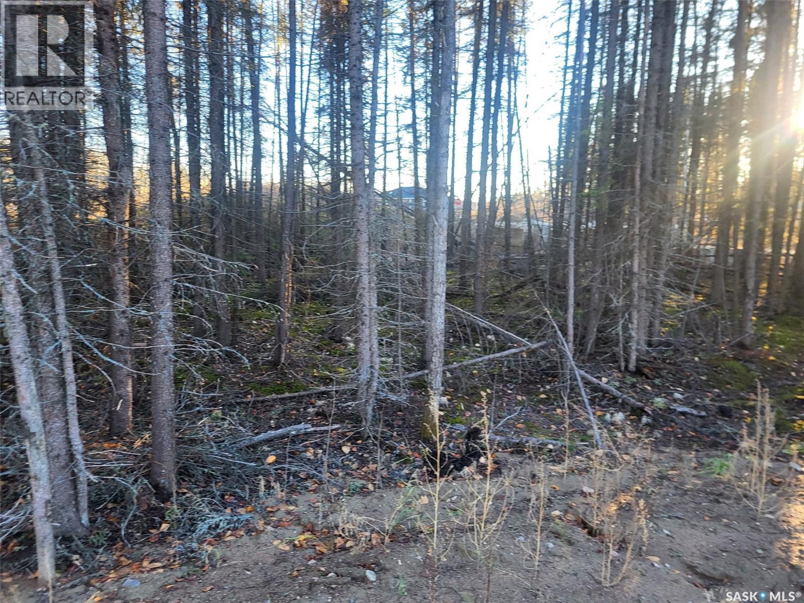 4 Billy Joe Bay, Candle Lake, Saskatchewan  S0J 3E0 - Photo 5 - SK013483