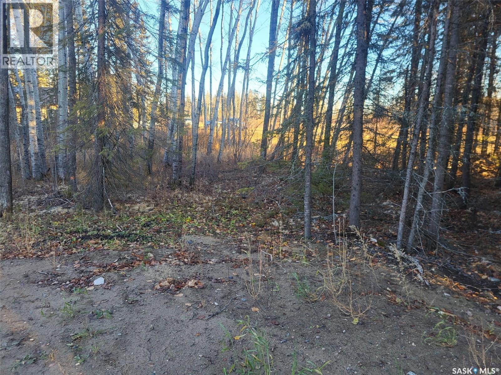 4 Billy Joe Bay, Candle Lake, Saskatchewan  S0J 3E0 - Photo 4 - SK013483