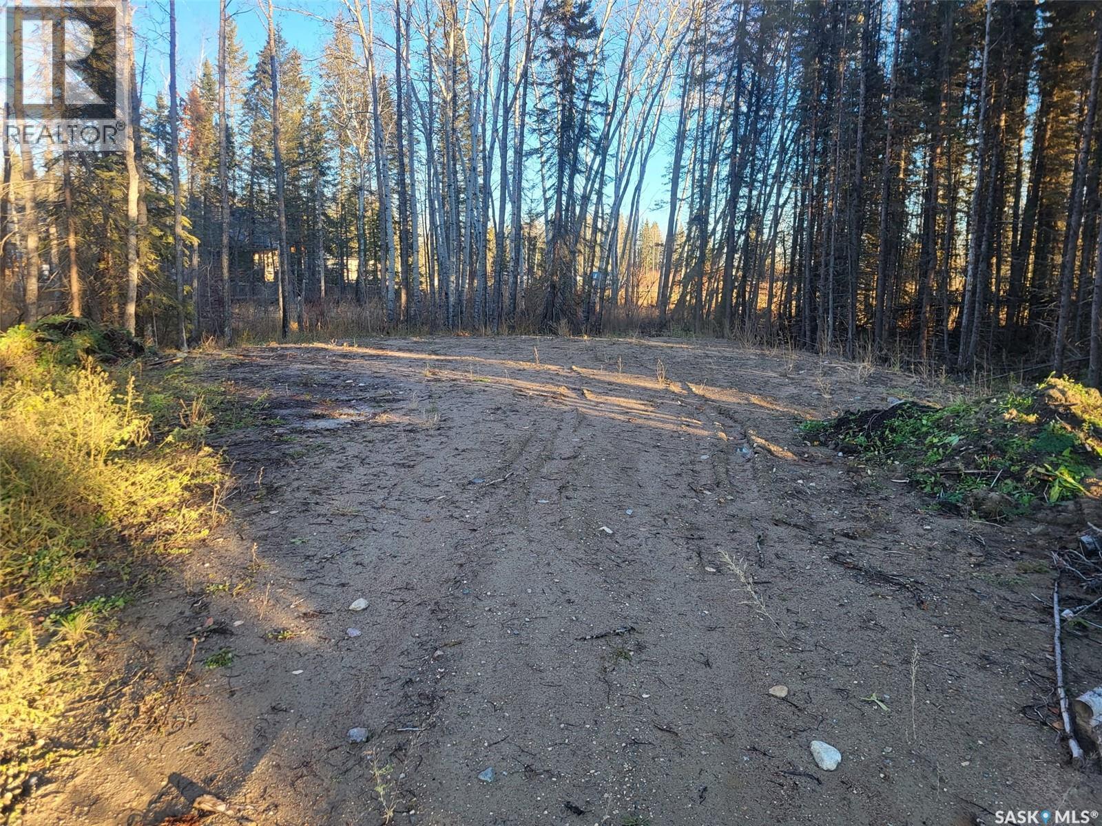 4 Billy Joe Bay, Candle Lake, Saskatchewan  S0J 3E0 - Photo 7 - SK013483