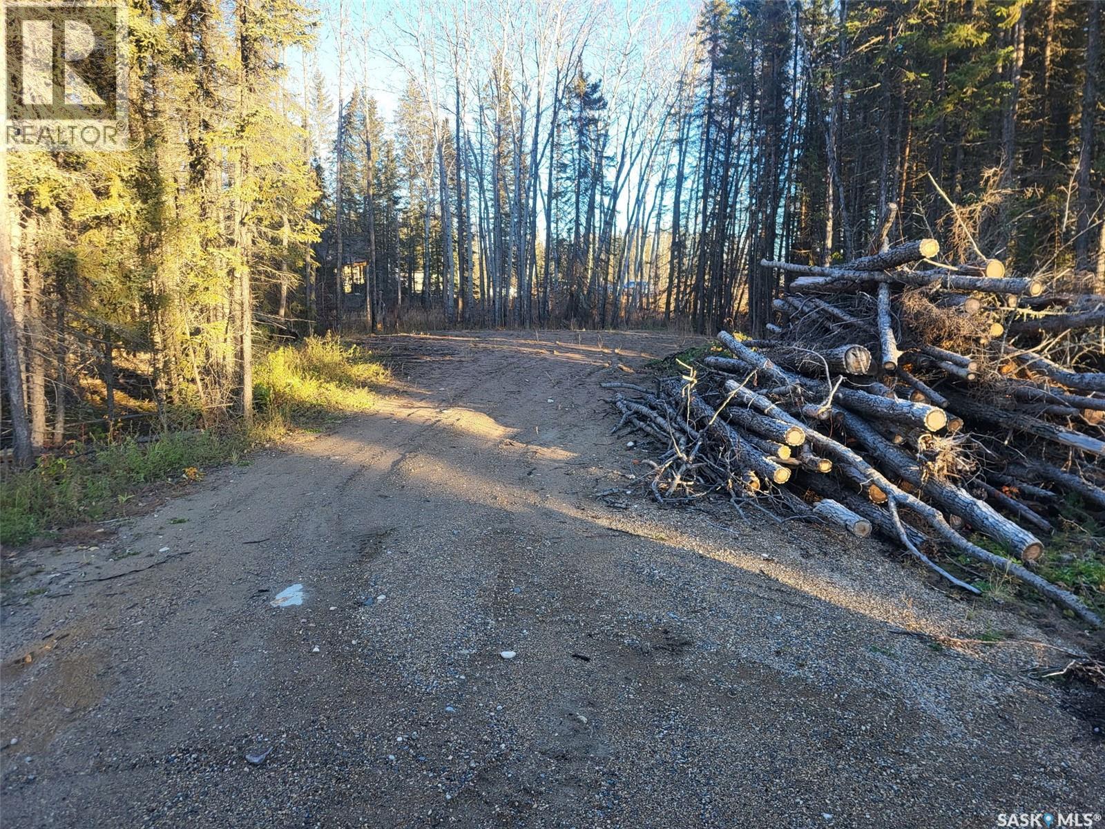 4 Billy Joe Bay, Candle Lake, Saskatchewan  S0J 3E0 - Photo 10 - SK013483