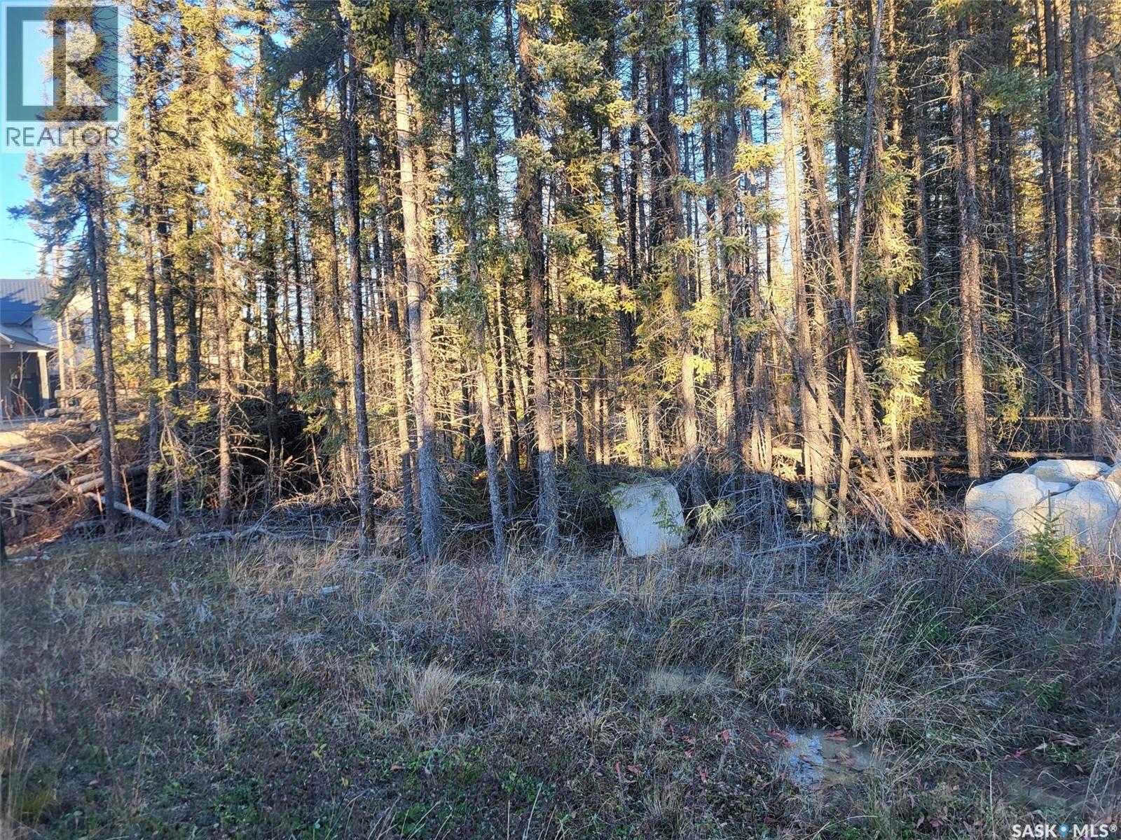 4 Billy Joe Bay, Candle Lake, Saskatchewan  S0J 3E0 - Photo 3 - SK013483