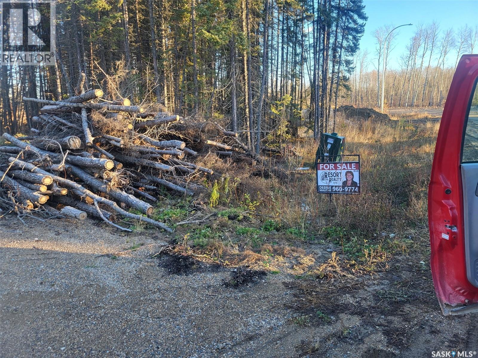 4 Billy Joe Bay, Candle Lake, Saskatchewan  S0J 3E0 - Photo 9 - SK013483