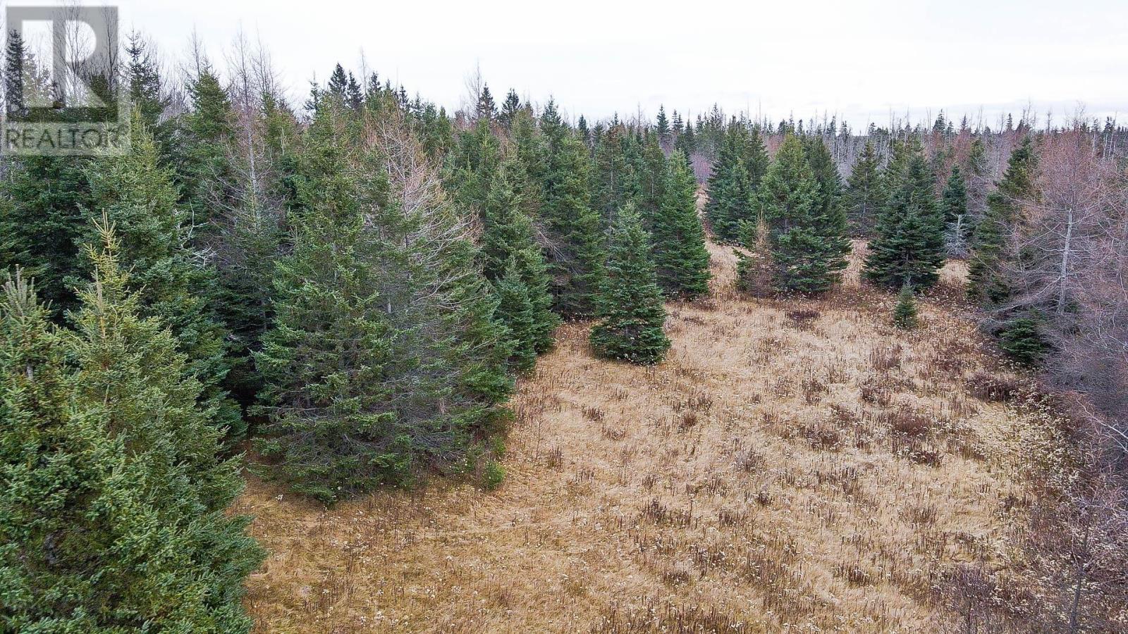 Annandale Road, Route 310, Poplar Point, Prince Edward Island  C1A 7N8 - Photo 9 - 202529429