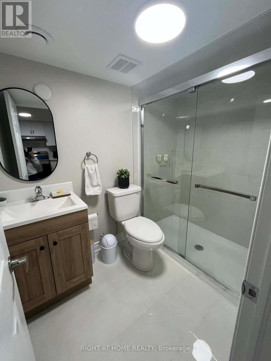 Basement - 5218 Palmetto Place, Mississauga, Ontario  L5M 0C8 - Photo 28 - W12536738