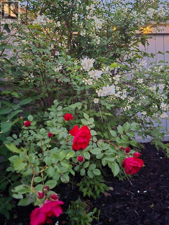 45 Legacy Court Se, Calgary, Alberta  T2X 2E6 - Photo 43 - A2273884