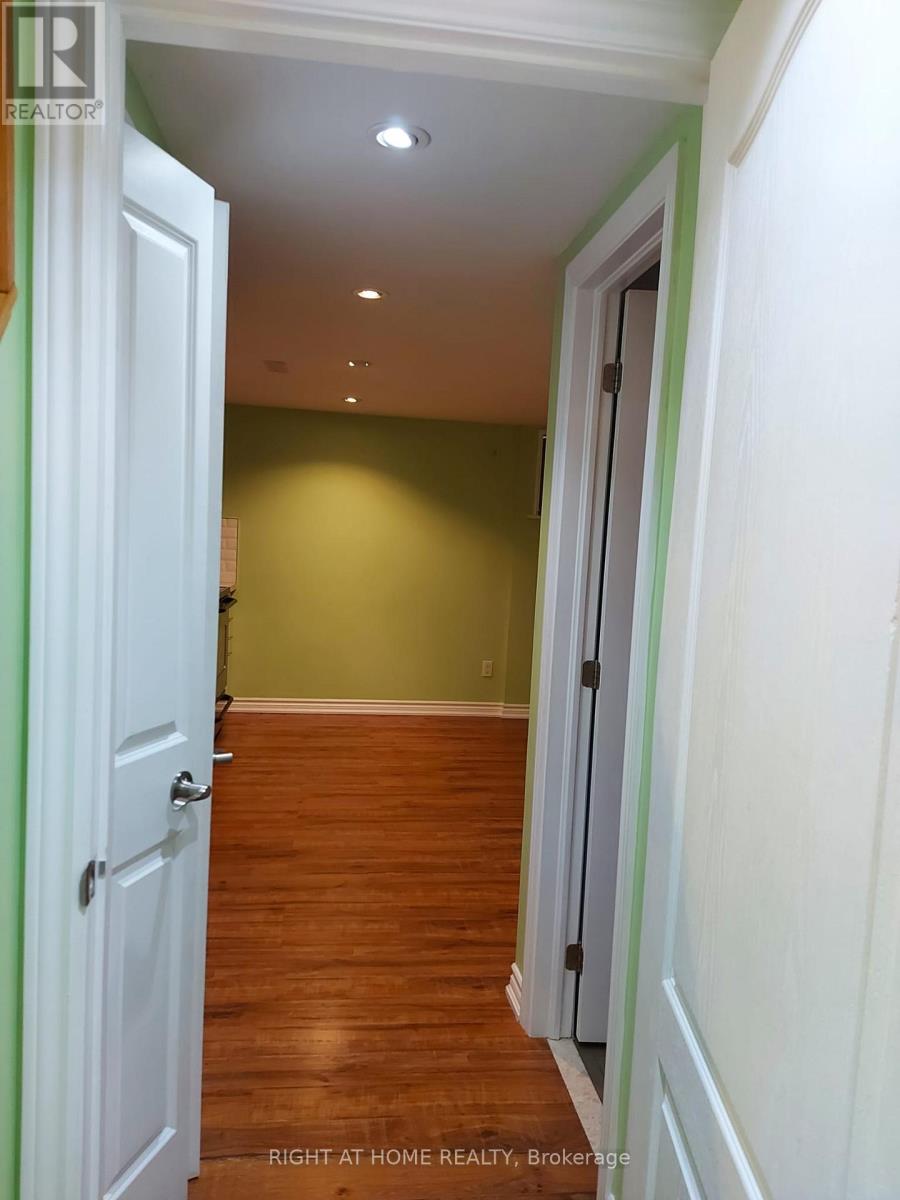 161 - Bsmt 475 Bramalea Road, Brampton (Southgate), Ontario  L6T 2X3 - Photo 3 - W12632566