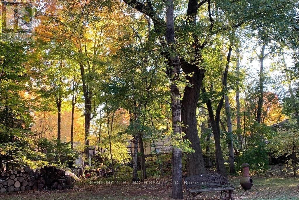 787 Innisfil Beach Road, Innisfil, Ontario  L9S 4E4 - Photo 26 - N12632610