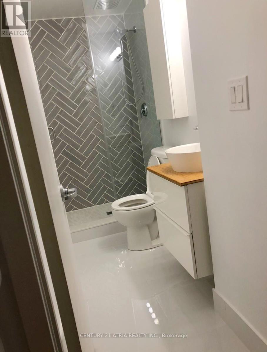 202 - 32 Stewart Street, Toronto, Ontario  M5V 3T2 - Photo 16 - C12632634