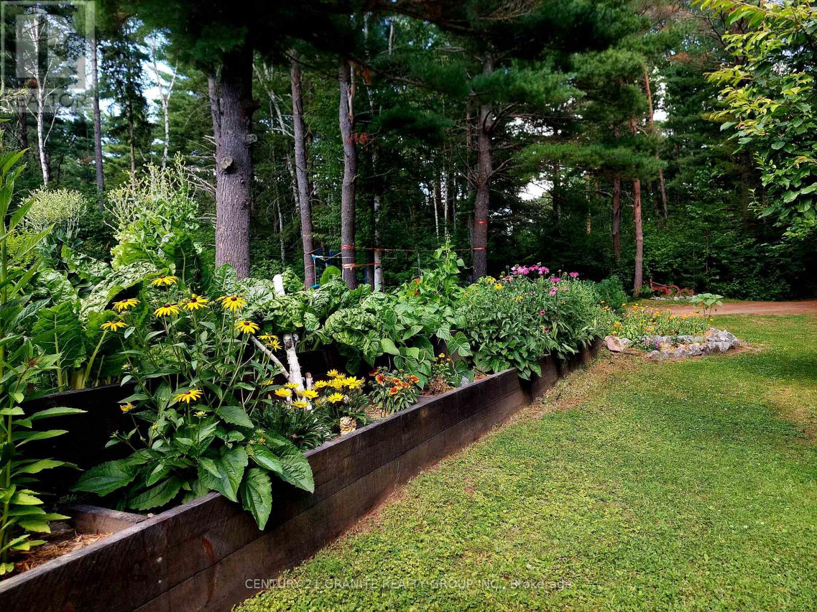 322 Kuno Road, Carlow/mayo, Ontario  K0L 1G0 - Photo 38 - X12615118