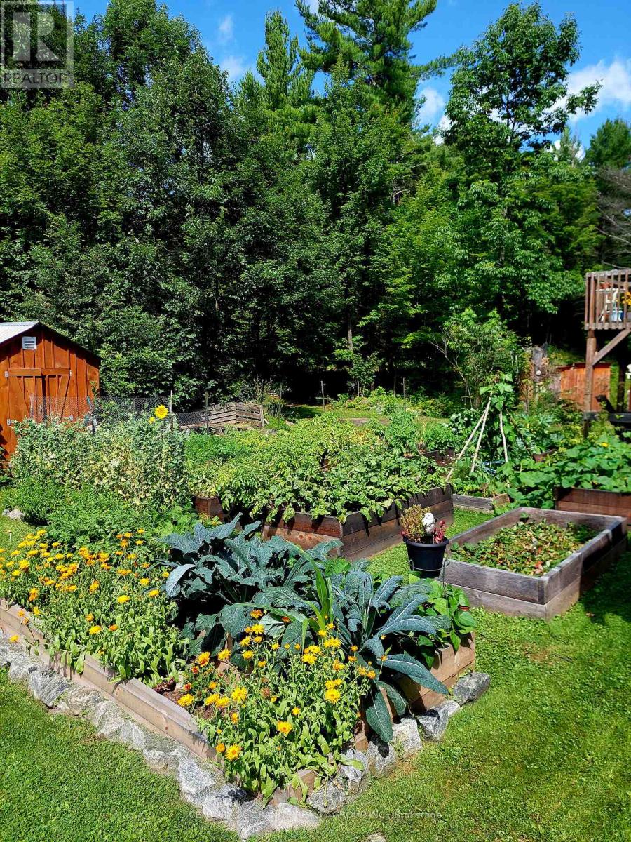 322 Kuno Road, Carlow/mayo, Ontario  K0L 1G0 - Photo 37 - X12615118