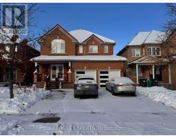 (BASEMENT) - 5 CADILLAC CRESCENT, Brampton, Ontario