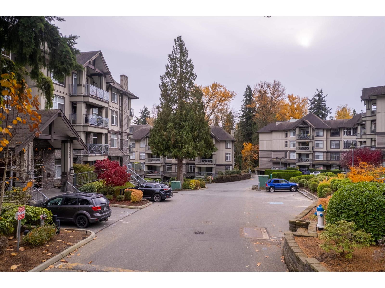 306 33318 Bourquin Crescent, Abbotsford, British Columbia  V2S 0A6 - Photo 8 - R3071048