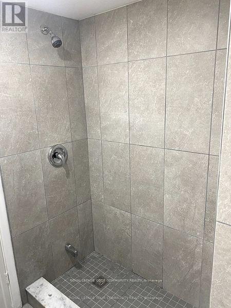 Lower - 223 Acton Avenue, Toronto, Ontario  M3H 4H8 - Photo 8 - C12632732