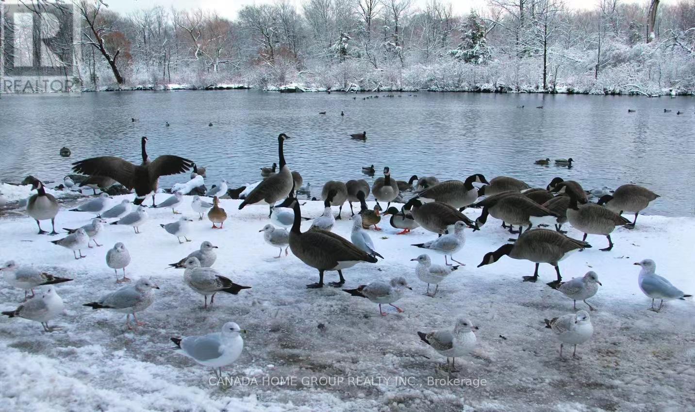 4324 Shuttleworth Drive, Niagara Falls, Ontario  L2G 0X5 - Photo 17 - X12632910