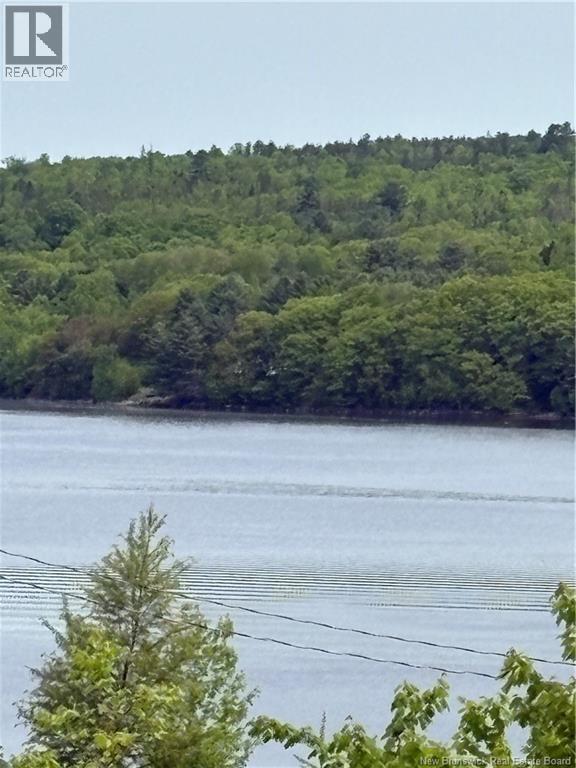 Swan Lane, Lower Prince William, New Brunswick E6K 3Y6 - Photo 15 - NB119676