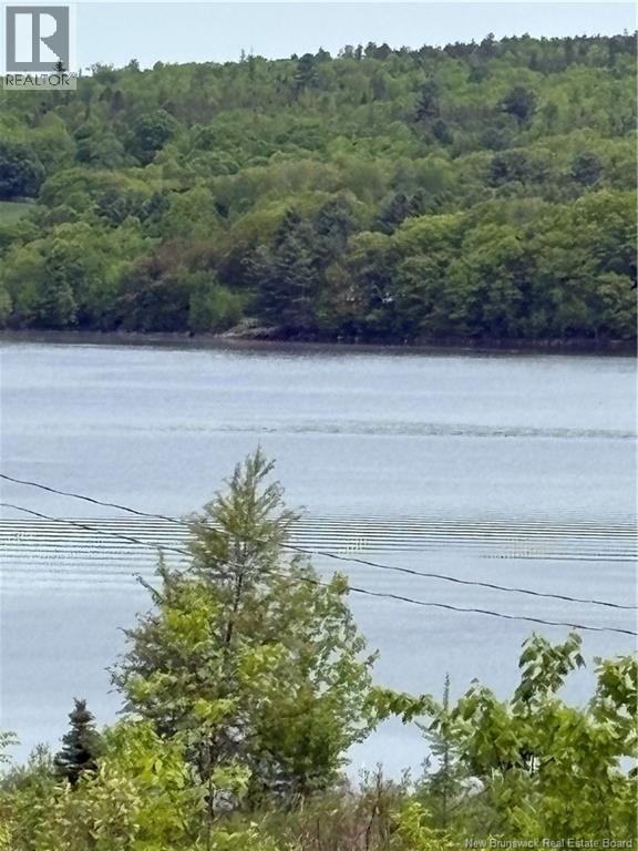 Riverview Drive, Lower Prince William, New Brunswick E6K 3Y6 - Photo 10 - NB119846