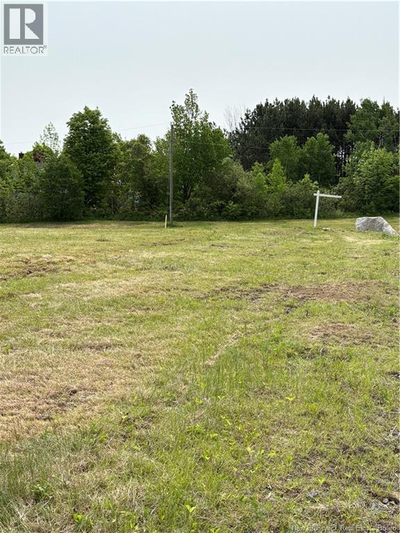 Riverview Drive, Lower Prince William, New Brunswick E6K 3Y6 - Photo 13 - NB119846