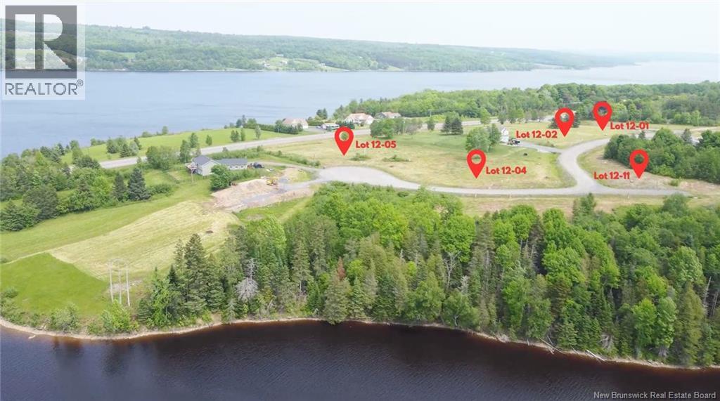 Swan Lane, Lower Prince William, New Brunswick E6K 3Y6 - Photo 2 - NB119845