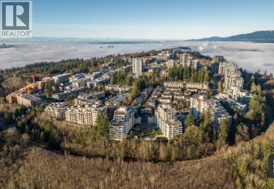 9288  University Crescent, Burnaby, British Columbia  V5A 4X7 - Photo 7 - R3070548