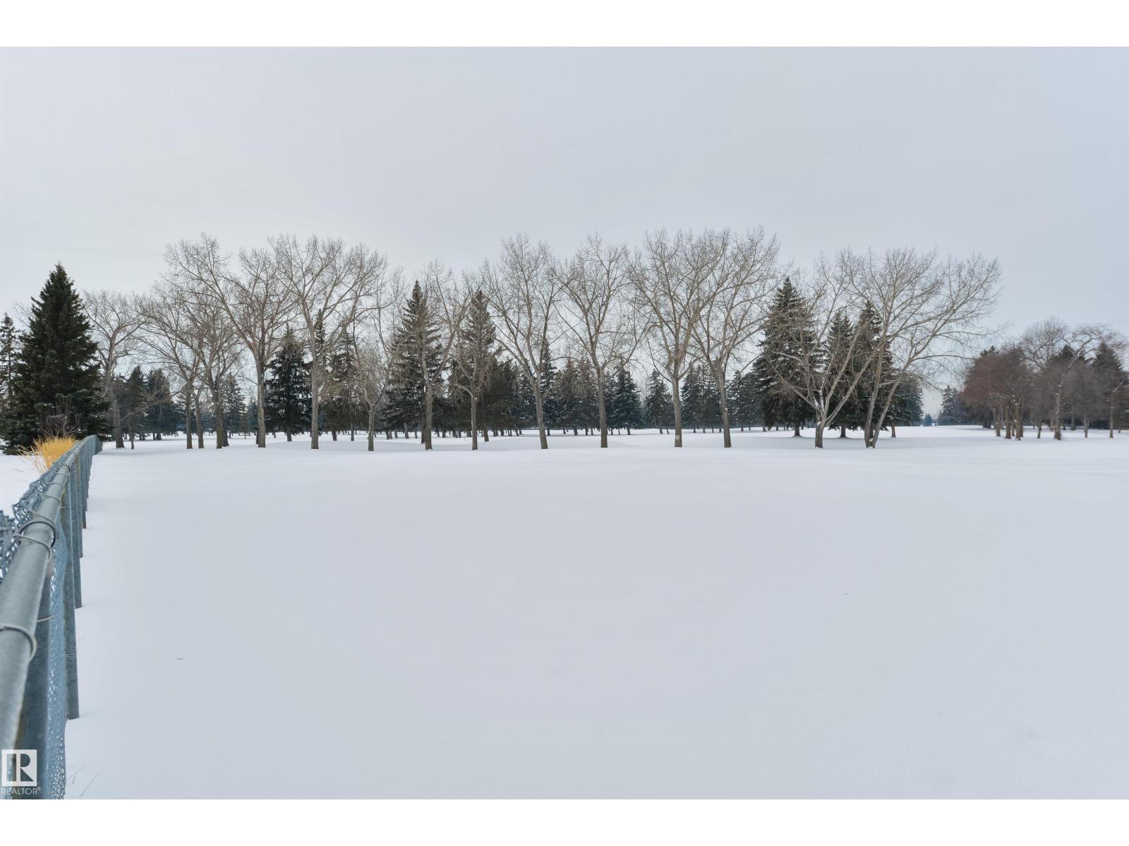 129 Ironwood Pl Nw, Edmonton, Alberta T6J 6R4 - Photo 45 - E4468151