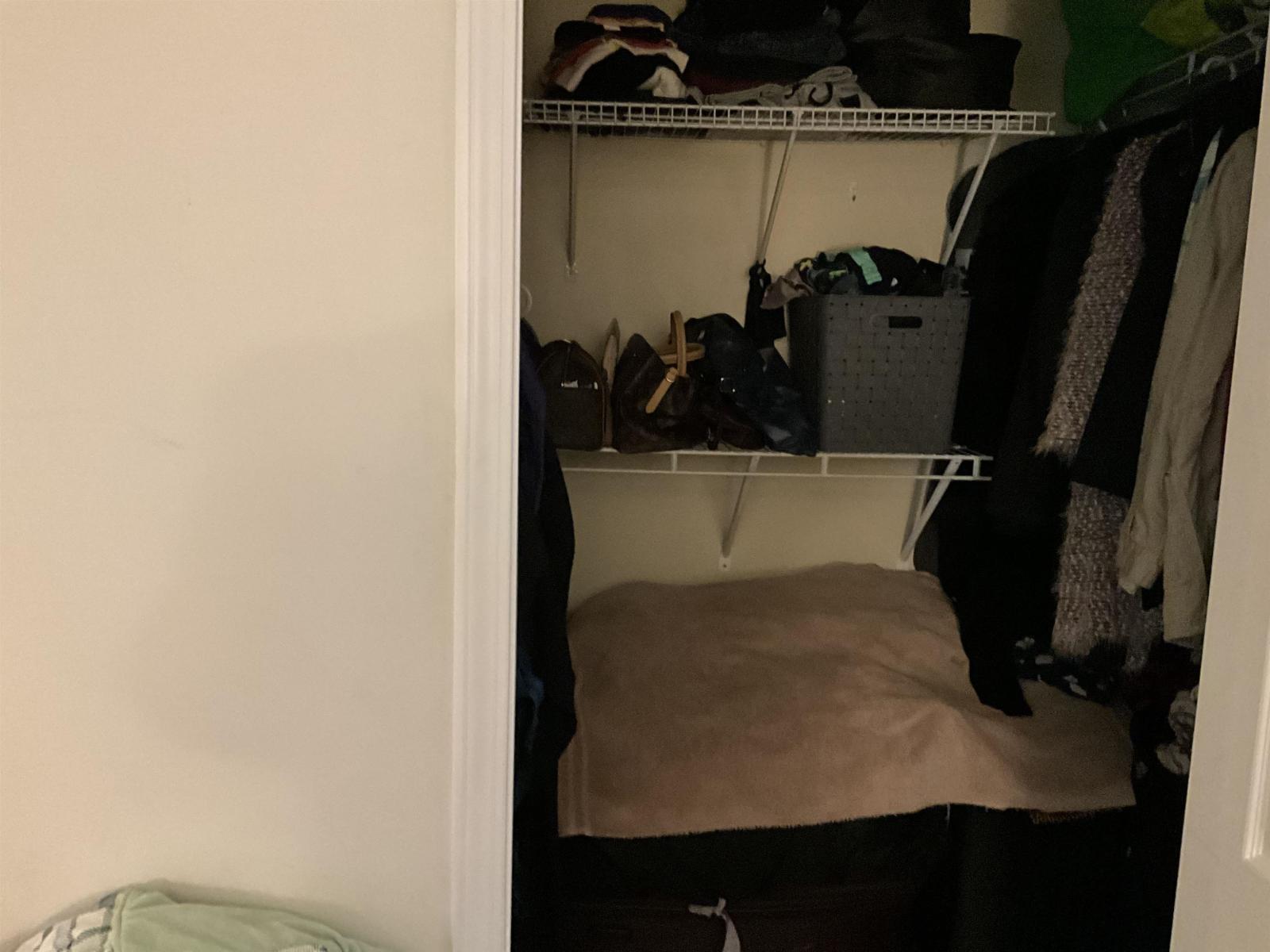 201 12088 66 Avenue, Surrey, British Columbia V3W 1Z9 - Photo 11 - R3062255