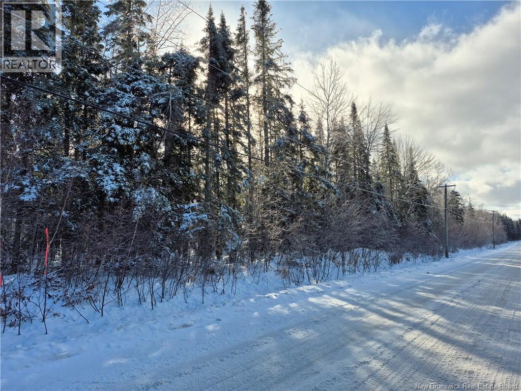 0 Banks Road, Durham Bridge, New Brunswick  E6C 1H4 - Photo 2 - NB131263