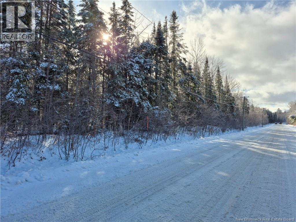0 Banks Road, Durham Bridge, New Brunswick  E6C 1H4 - Photo 3 - NB131263