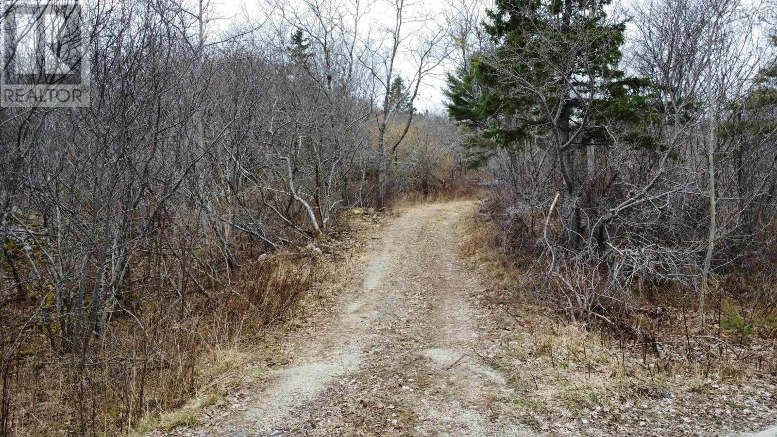 52 Adelia Road, Gold River, Nova Scotia  B0J 1K0 - Photo 17 - 202507881