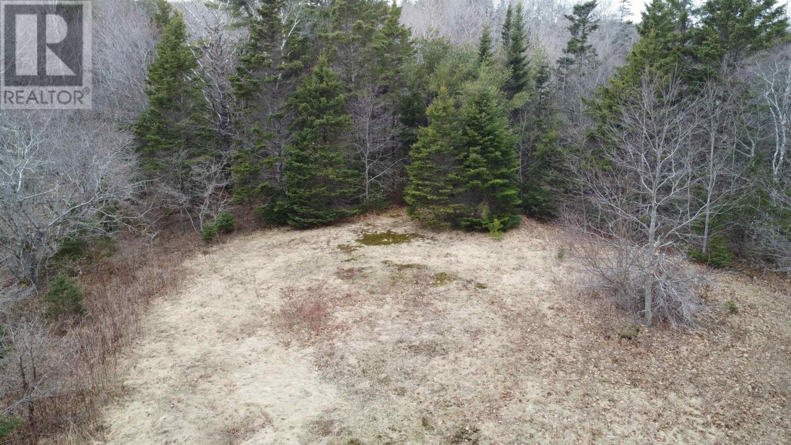 52 Adelia Road, Gold River, Nova Scotia  B0J 1K0 - Photo 7 - 202507881