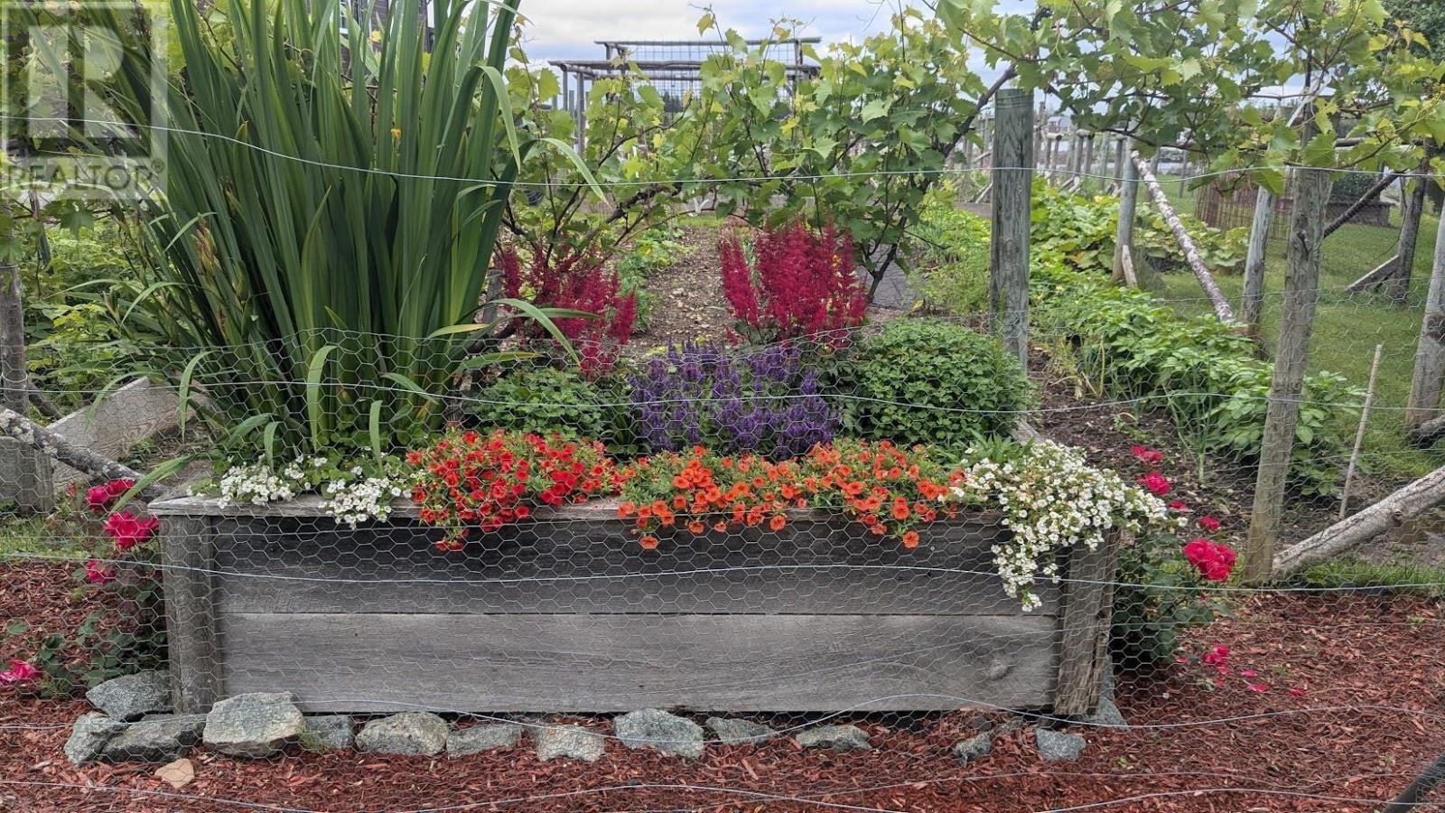 123 French Cove Road, French Cove, Nova Scotia B0E 3B0 - Photo 42 - 202502716