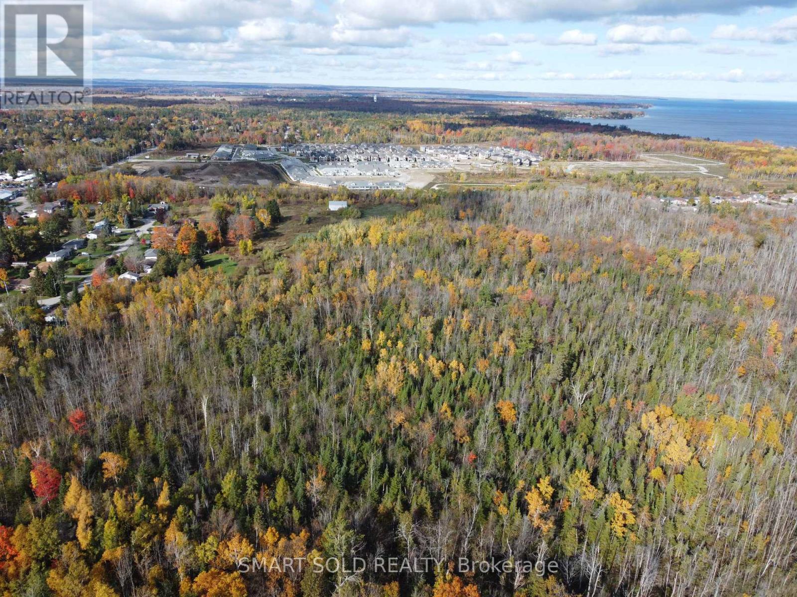 2849 Clarkesville Street, Innisfil, Ontario  L9S 2J1 - Photo 6 - N12430212