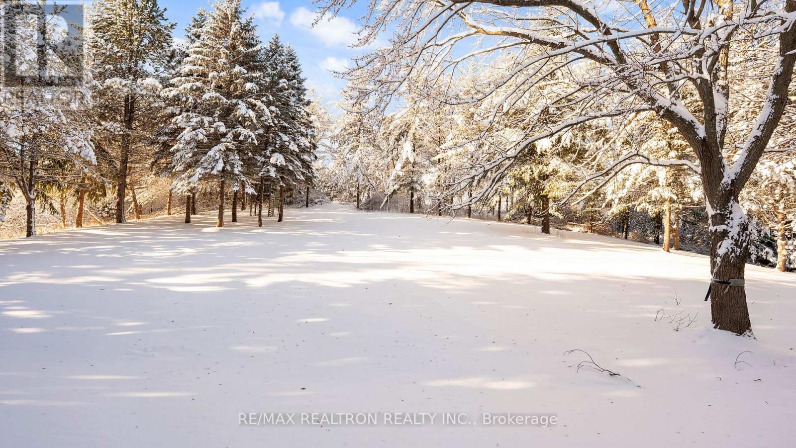 8 Blue Grass Drive, Aurora, Ontario  L4G 6W4 - Photo 34 - N12633244