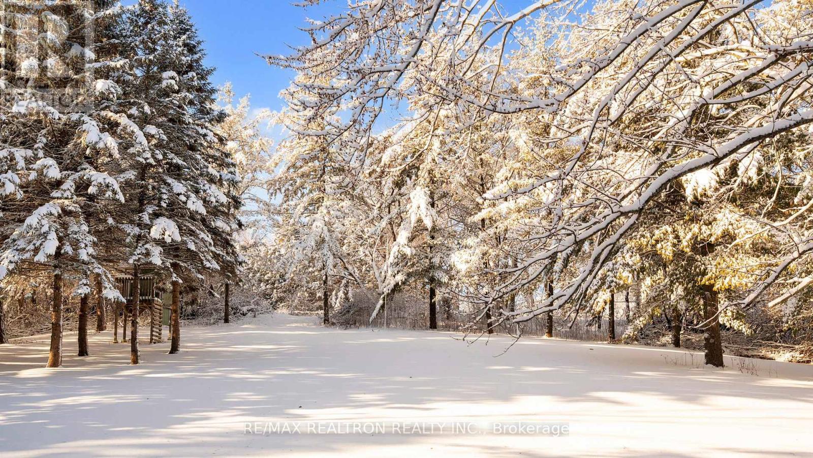 8 Blue Grass Drive, Aurora, Ontario  L4G 6W4 - Photo 35 - N12633244