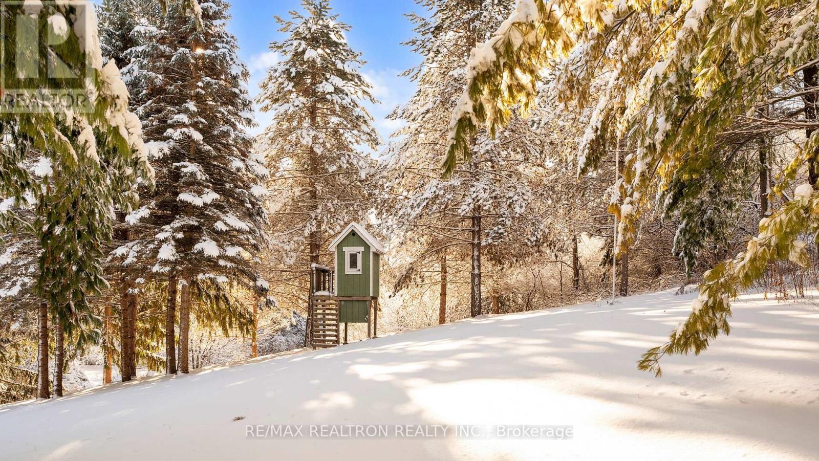 8 Blue Grass Drive, Aurora, Ontario  L4G 6W4 - Photo 36 - N12633244