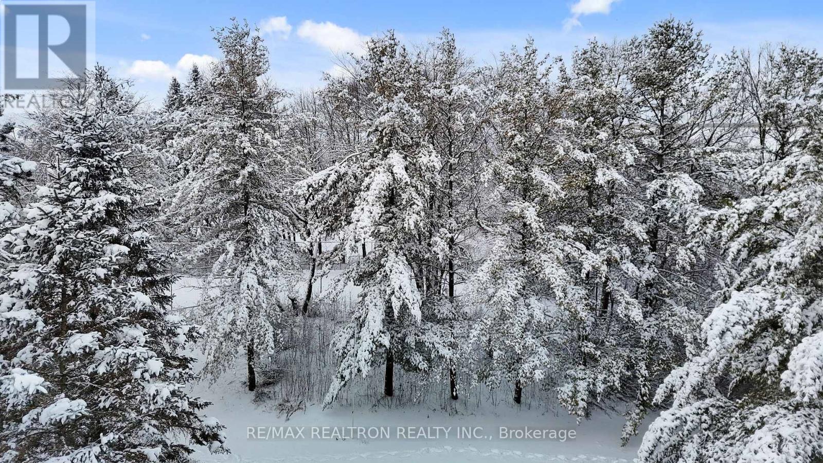 8 Blue Grass Drive, Aurora, Ontario  L4G 6W4 - Photo 42 - N12633244