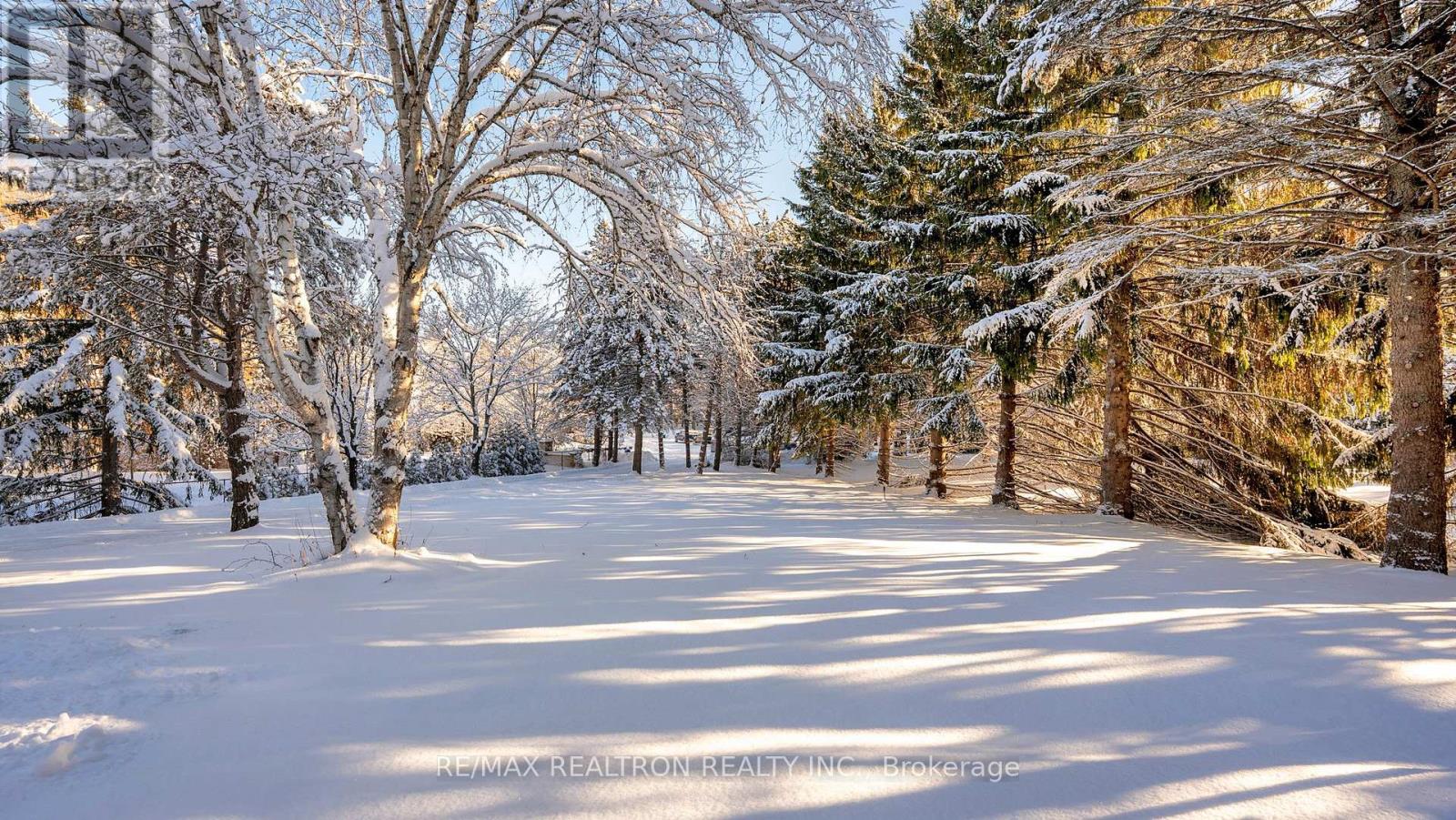 8 Blue Grass Drive, Aurora, Ontario  L4G 6W4 - Photo 6 - N12633244