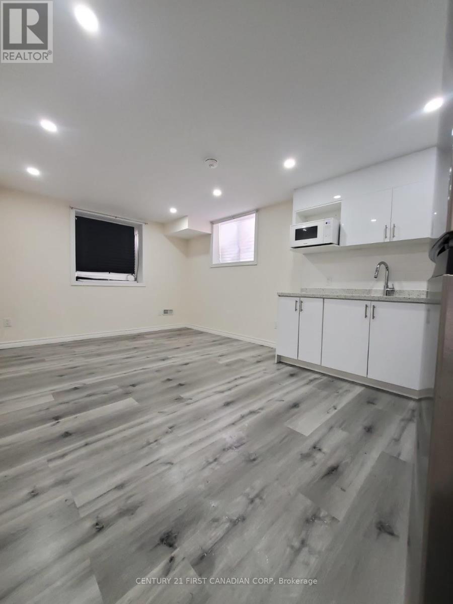 Lower - 289 Middleton Avenue, London South (South W), Ontario  N6L 0E9 - Photo 10 - X12633392