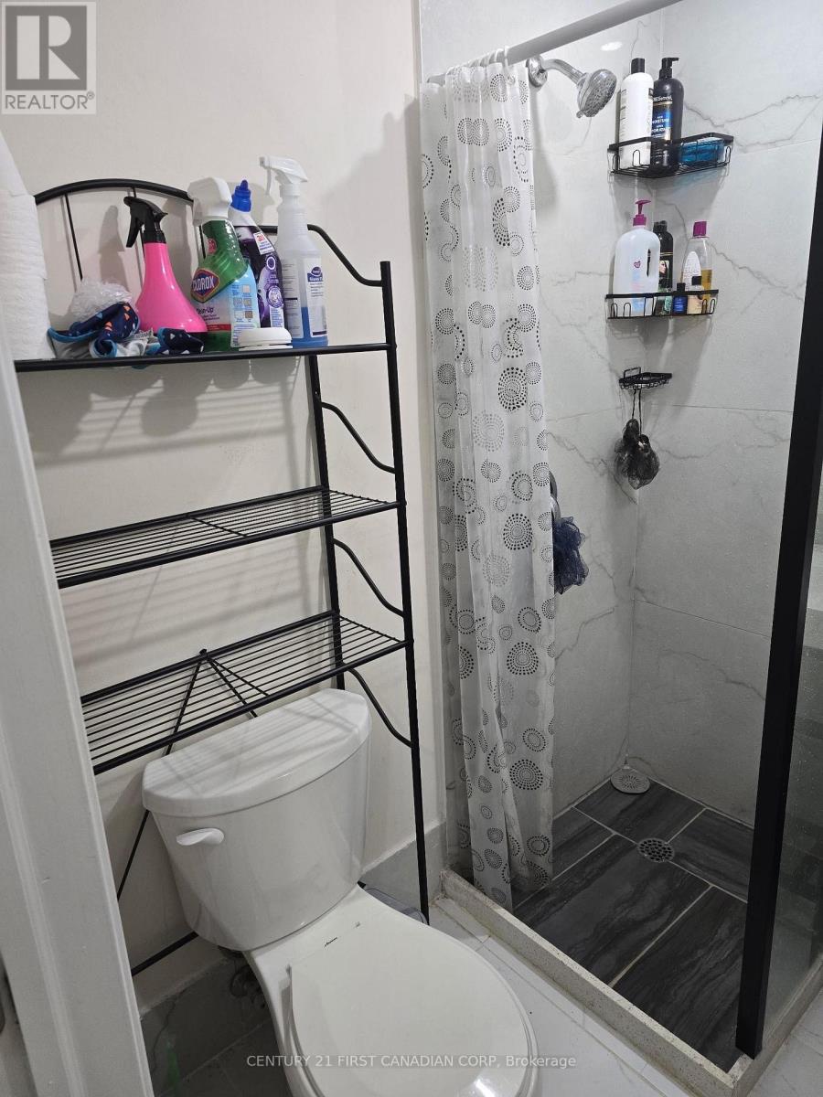 Lower - 289 Middleton Avenue, London South (South W), Ontario  N6L 0E9 - Photo 19 - X12633392