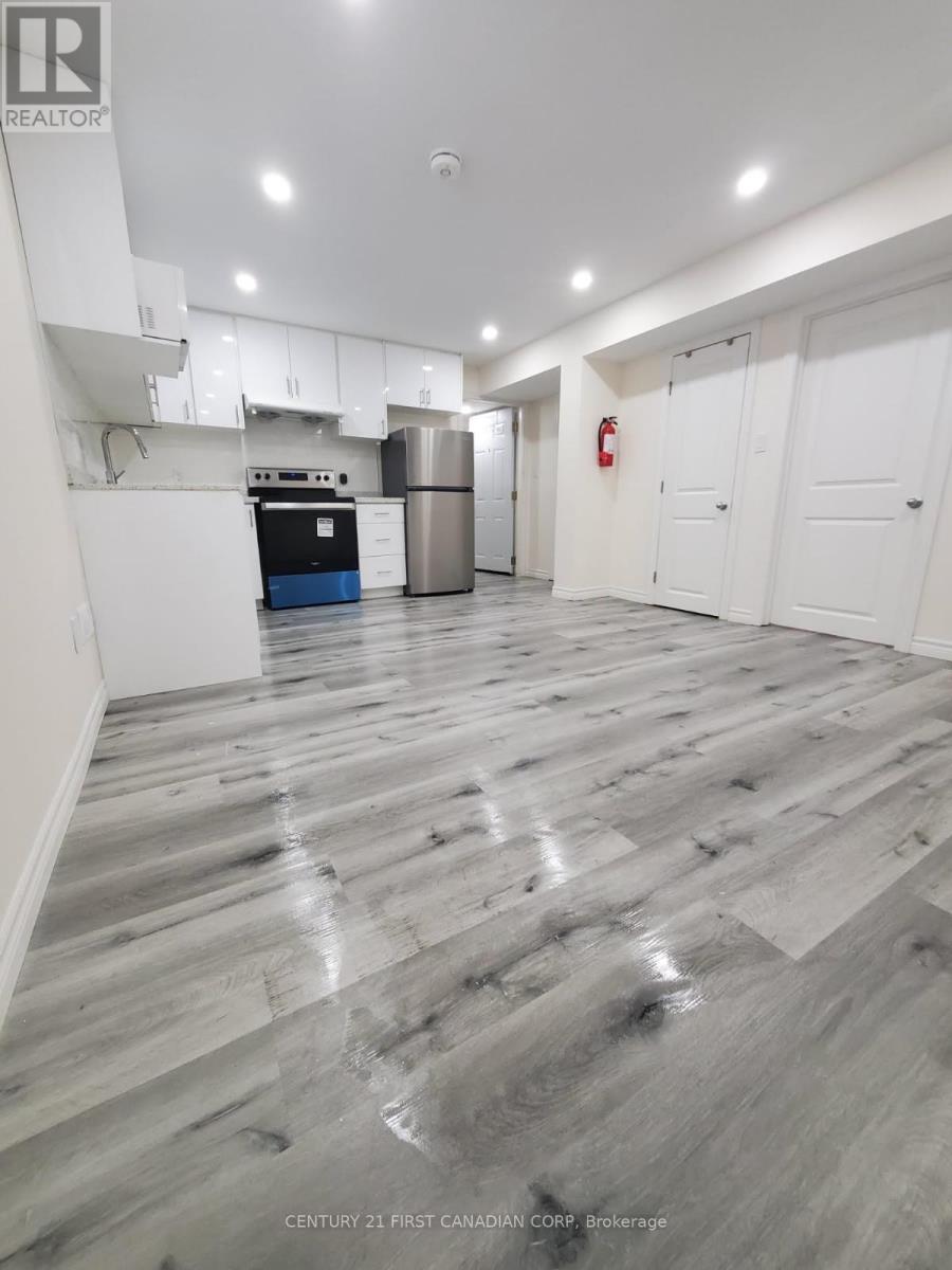 Lower - 289 Middleton Avenue, London South (South W), Ontario  N6L 0E9 - Photo 3 - X12633392