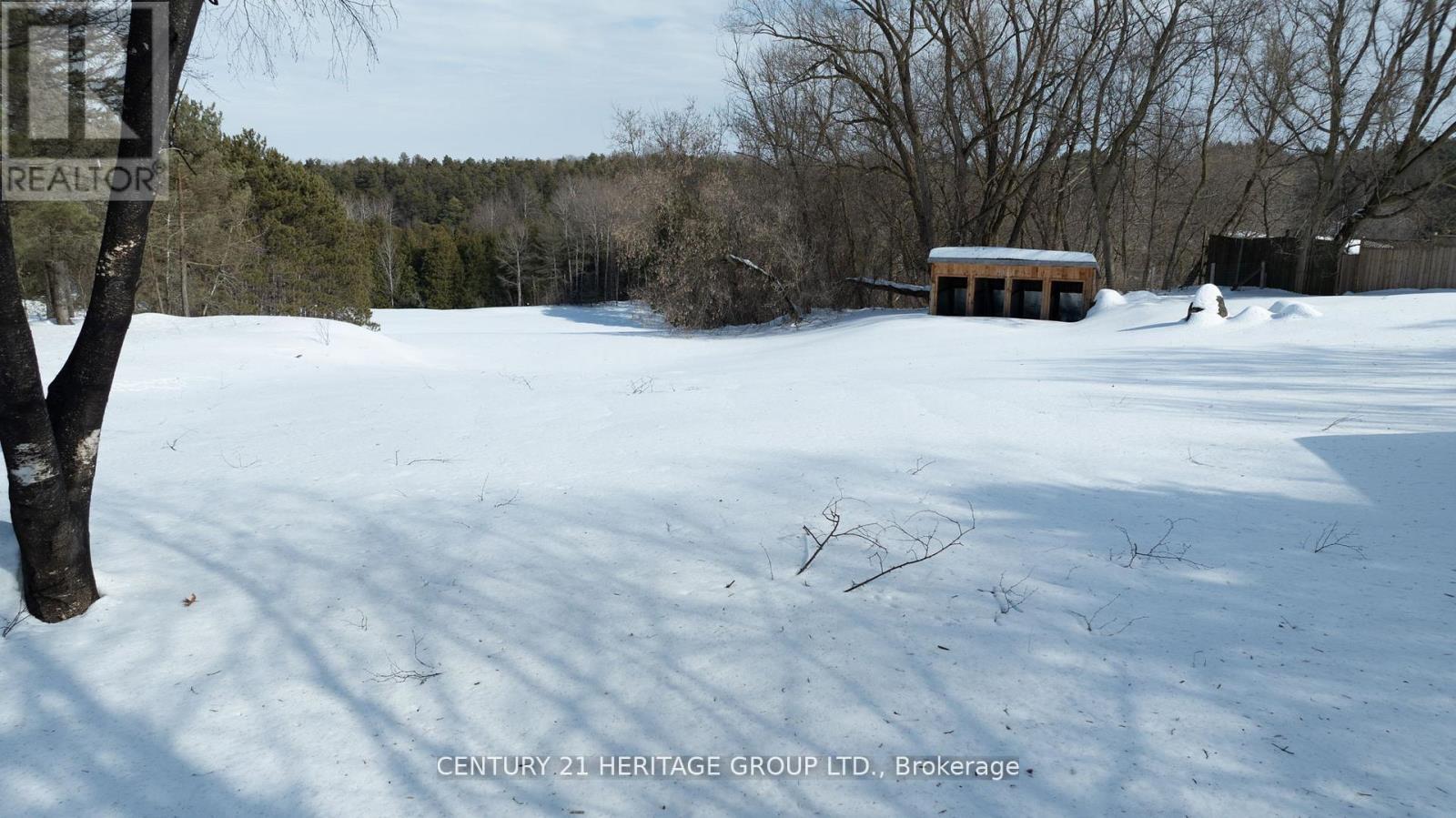 1915 Simcoe County Rd 50, New Tecumseth (Tottenham), Ontario  L0G 1W0 - Photo 4 - N12633440