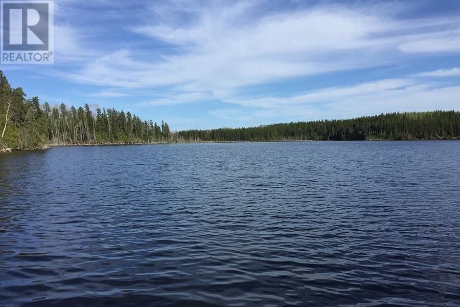 0 First St, Hillsport, Ontario  P0T 2C0 - Photo 48 - TB253657