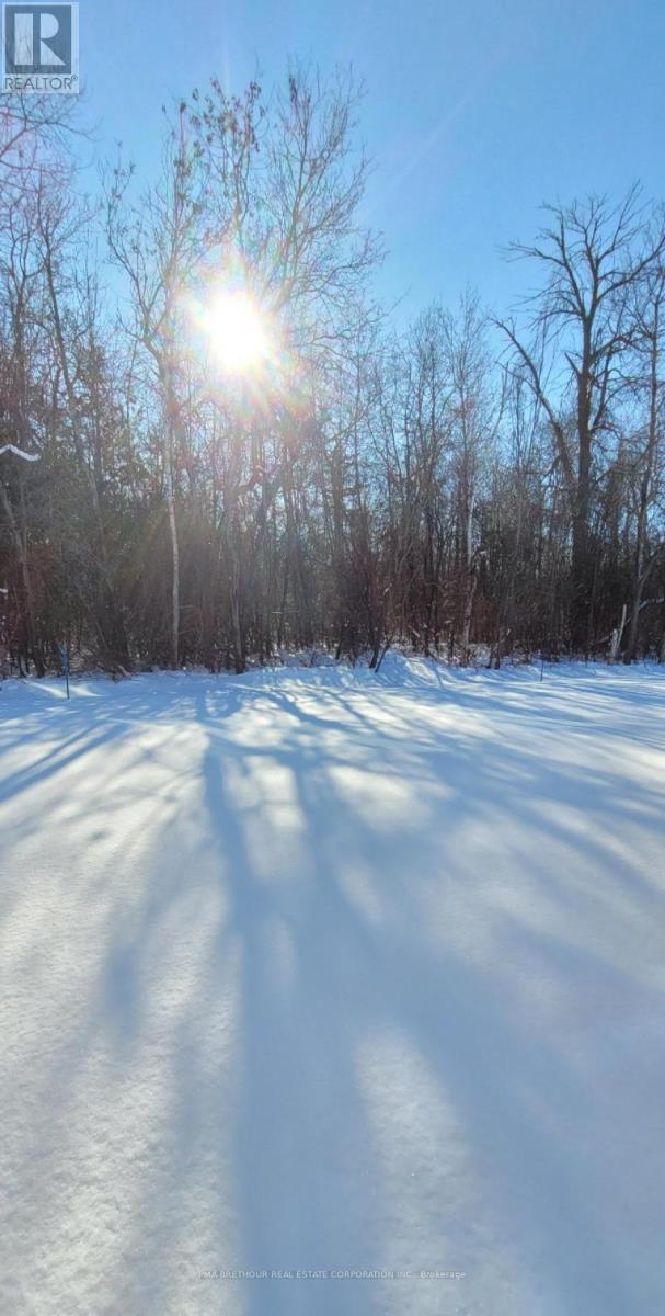 139 Dovedale Drive, Georgina, Ontario  L4P 0S6 - Photo 6 - N12392116