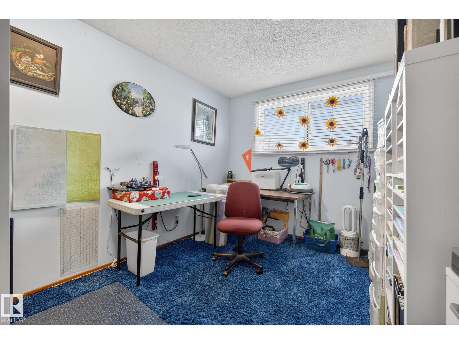 6819 83 Av Nw, Edmonton, Alberta T6B 0G4 - Photo 21 - E4468053