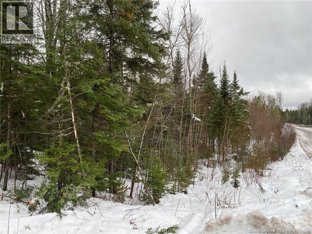 Lot 21-4 Waterway Road, Mcquade, New Brunswick  E1G 5W5 - Photo 12 - NB131224