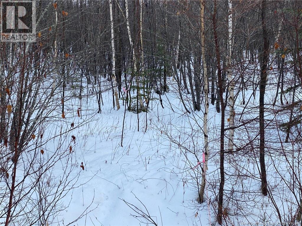 Lot 21-4 Waterway Road, Mcquade, New Brunswick  E1G 5W5 - Photo 4 - NB131224