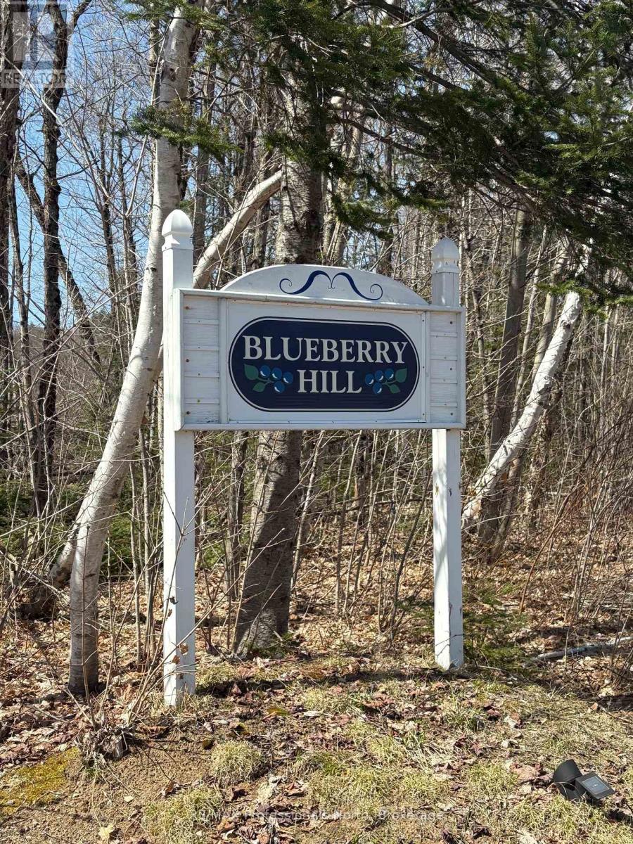 4043 Highway 60, Algonquin Highlands, Ontario P0A 1H0 - Photo 29 - X12633664