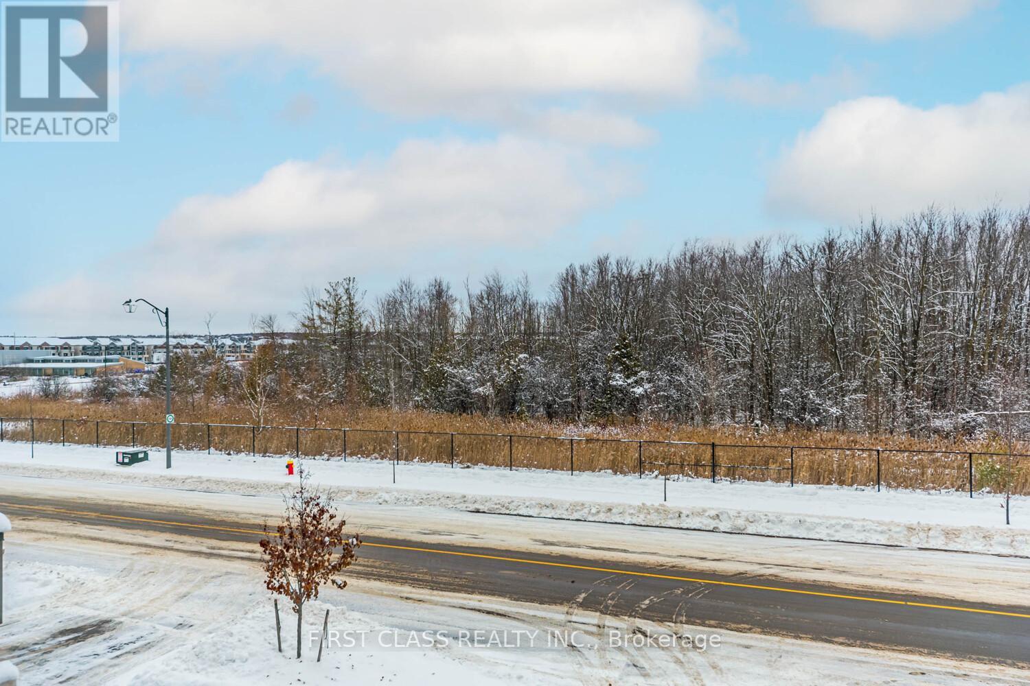 69 Mccague Avenue, Richmond Hill, Ontario  L4S 0J4 - Photo 33 - N12633718