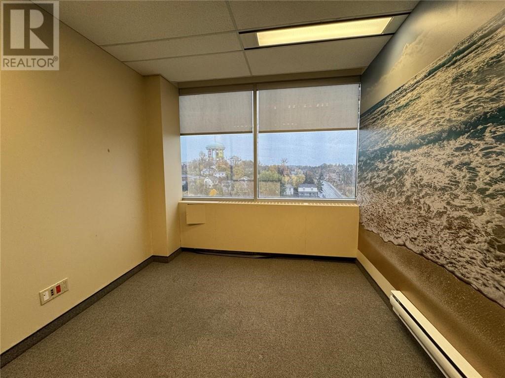 10 Elm Street Unit# 602, Sudbury, Ontario  P3C 1S8 - Photo 11 - 2125311