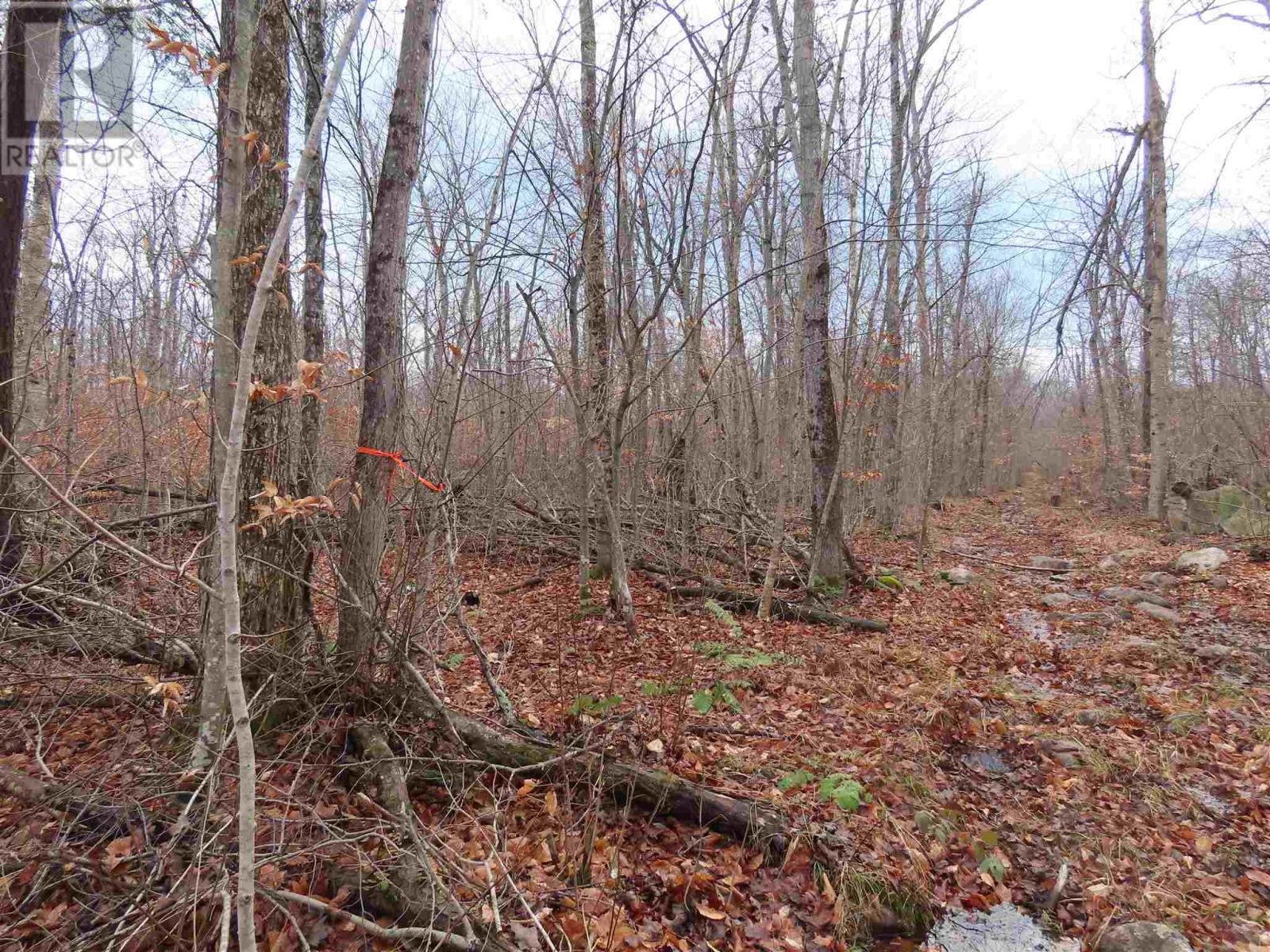 Lot 17 Concession R, Hilton Township, Ontario P0R 1G0 - Photo 2 - SM253473